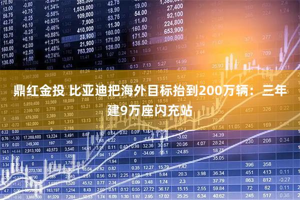 鼎红金投 比亚迪把海外目标抬到200万辆：三年建9万座闪充站