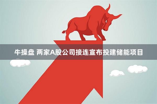 牛操盘 两家A股公司接连宣布投建储能项目