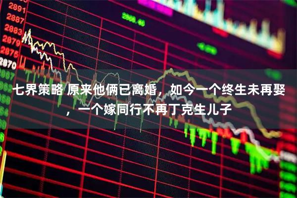 七界策略 原来他俩已离婚，如今一个终生未再娶，一个嫁同行不再丁克生儿子
