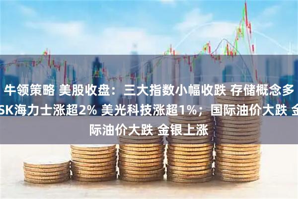 牛领策略 美股收盘：三大指数小幅收跌 存储概念多数上涨 SK海力士涨超2% 美光科技涨超1%；国际油价大跌 金银上涨