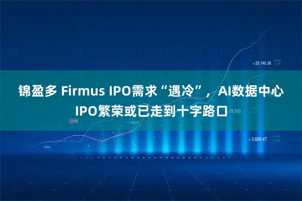 锦盈多 Firmus IPO需求“遇冷”，AI数据中心IPO繁荣或已走到十字路口