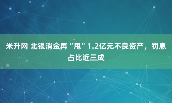 米升网 北银消金再“甩”1.2亿元不良资产，罚息占比近三成