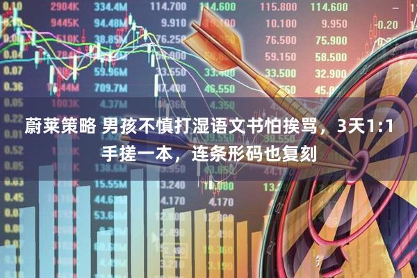 蔚莱策略 男孩不慎打湿语文书怕挨骂，3天1:1手搓一本，连条形码也复刻