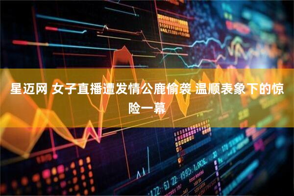 星迈网 女子直播遭发情公鹿偷袭 温顺表象下的惊险一幕